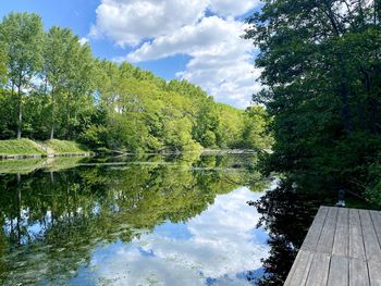 Reflection of trees in lake against sky