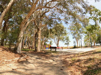 Rear view of woman sitting on bench in park