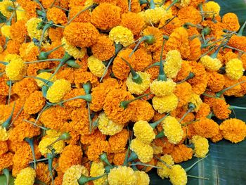 High angle view of marigold flowers in market