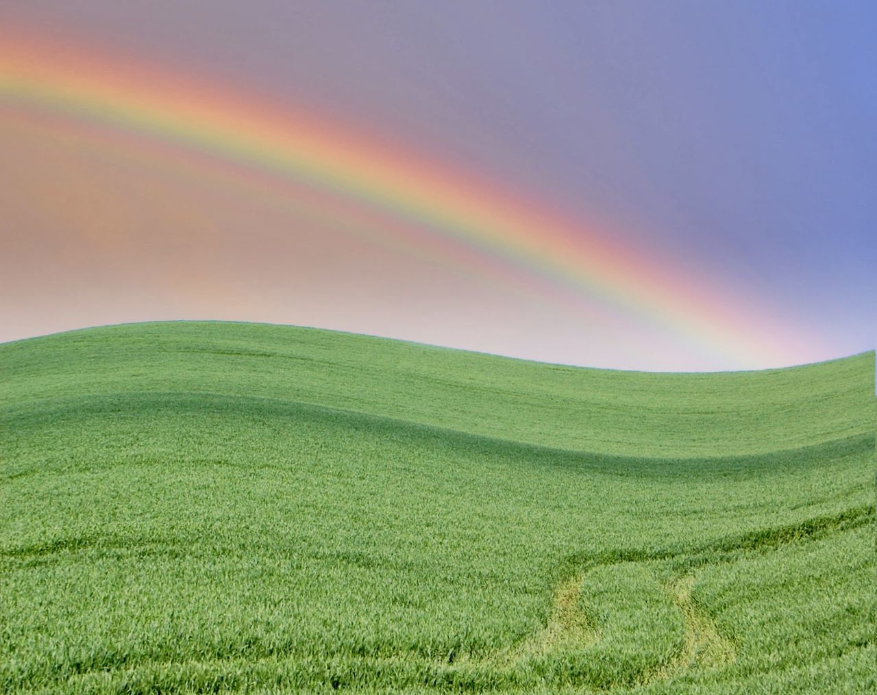 SCENIC VIEW OF RAINBOW OVER GREEN LANDSCAPE