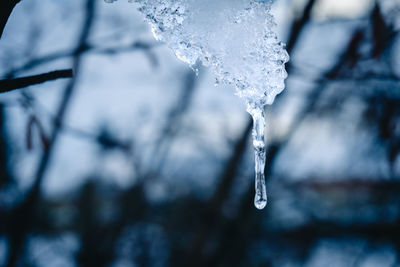 Freezing winter icicle