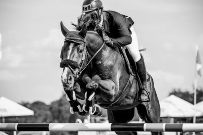 Horse jumping, equestrian sports, show jumping competition themed photograph.