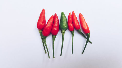 Close-up of red chili pepper against white background