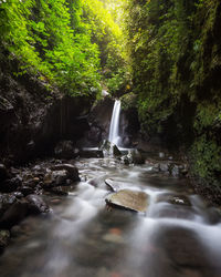 Waterfall in forest