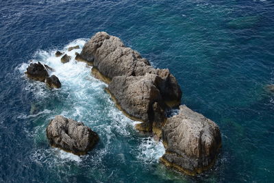 High angle view of crab on rock in sea