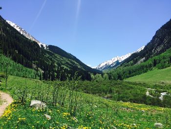 Scenic view of mountain range against clear blue sky