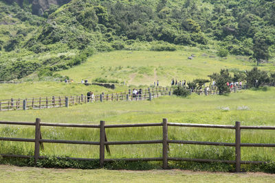 Scenic view of seongsan ilchulbong on jeju island