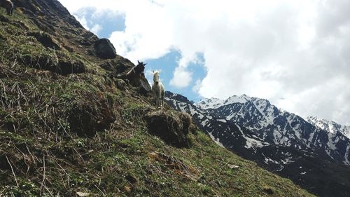 Low angle view of mountains against sky