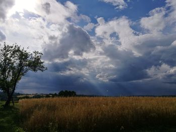 Scenic view of field against sky