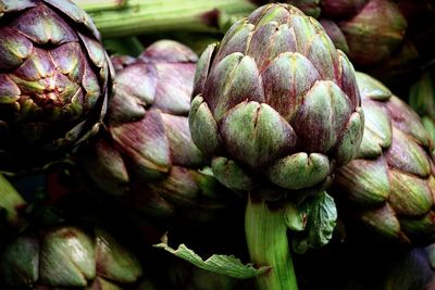 Close-up of artichoke