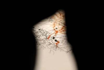 Close-up of human hand against black background