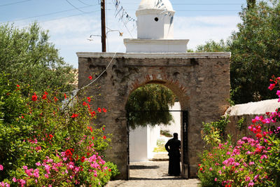 Rear view of man by flowering tree against sky