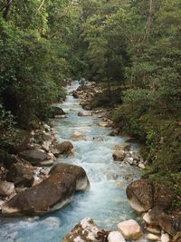 Scenic view of waterfall in forest