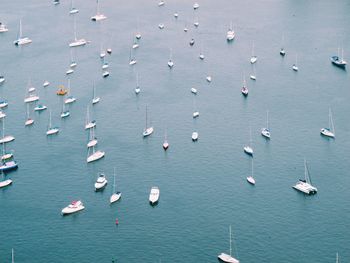 High angle view of sailboats in sea