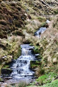 Scenic view of waterfall