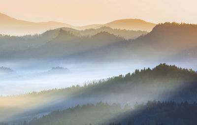 High angle view of forest against sky during sunrise