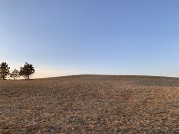 Scenic view of field against clear blue sky