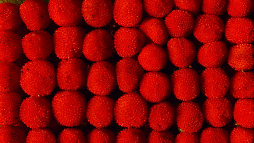 Full frame shot of red berry fruits