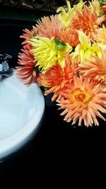 Close-up high angle view of multi colored flowers