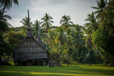 Palm trees on field against sky