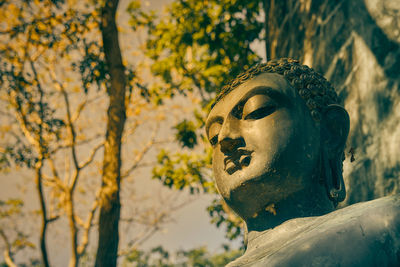 Close-up of statue against trees