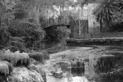 Scenic view of river against trees