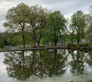 Trees by lake against sky