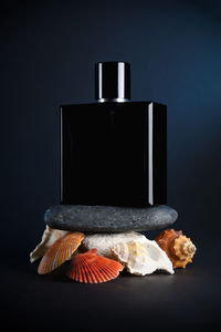 Close-up of fish on table against black background