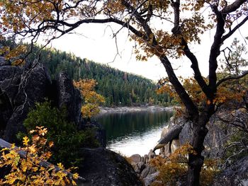 Scenic view of calm lake surrounded by trees