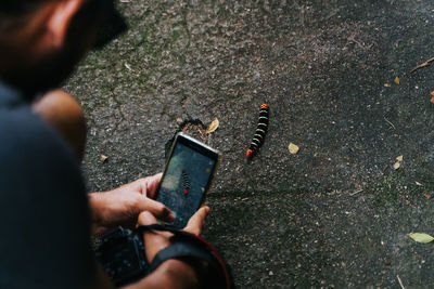 Man photographing a caterpillar with mobile phone