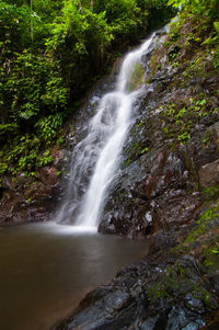 Scenic view of waterfall in forest