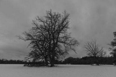 Bare tree on snow covered field against sky