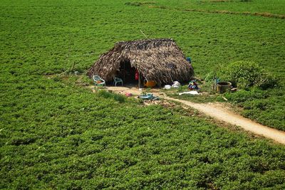 High angle view of agricultural field