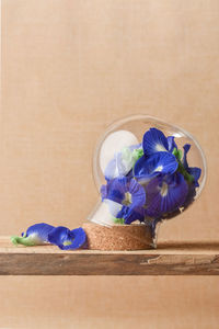 Close-up of blue flower in glass vase on table