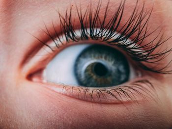 Close-up portrait of human eye