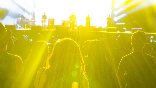 Crowd at concert