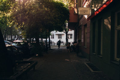 Trees in front of building