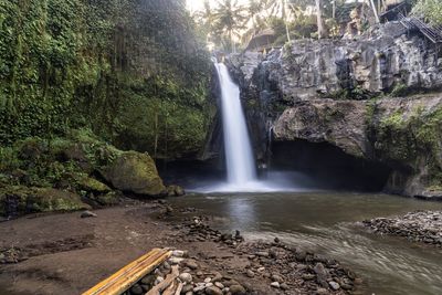 Scenic view of waterfall in forest