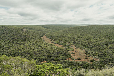 Scenic view of landscape against sky