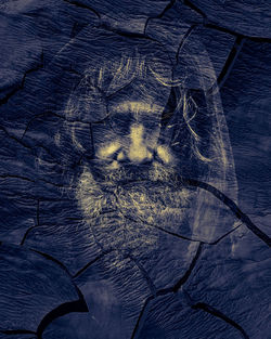 Digital composite image of tree