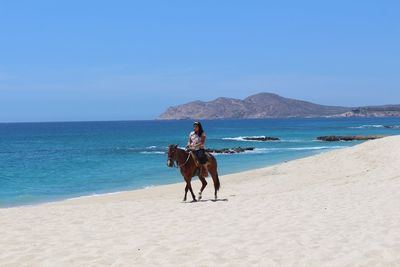 Woman riding horse at beach against clear blue sky