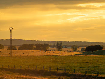 Scenic view of field against sky during sunset