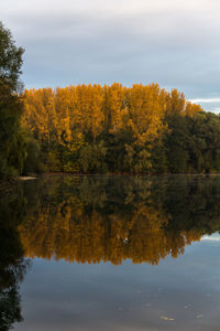 Reflection of trees in lake against sky