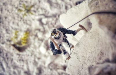 Close-up of insect on rock