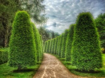 Scenic view of field against cloudy sky