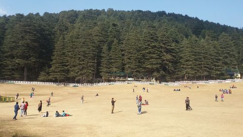 Group of people playing soccer on field against trees