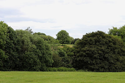 Trees on field against sky