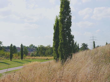 Trees on landscape against cloudy sky