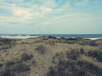 Scenic view of beach against sky