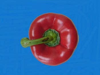 Close-up of red bell peppers against blue sky